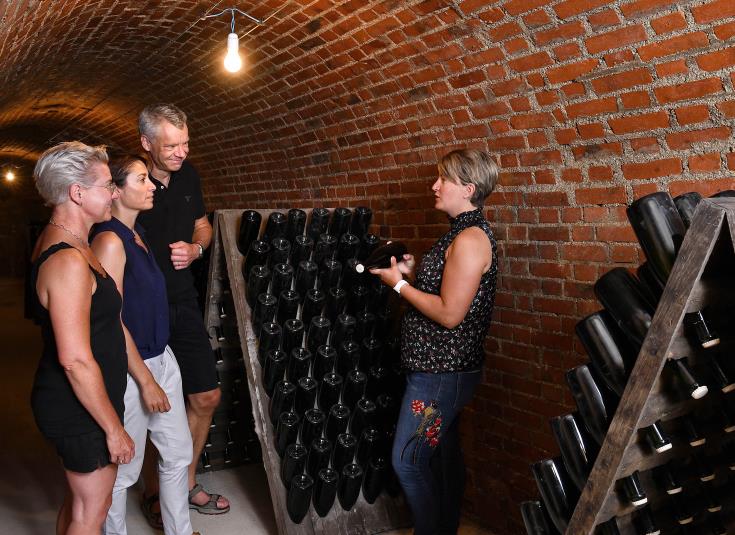 Rencontres privilégiées ches les vignerons