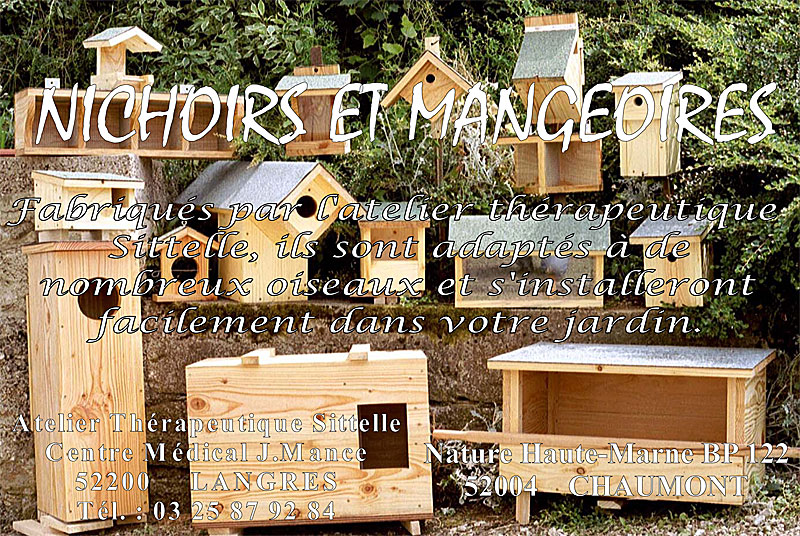 Atelier thérapeutique Sitelle