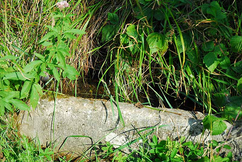 Auges d'eau vives à Lamargelle-aux-Bois