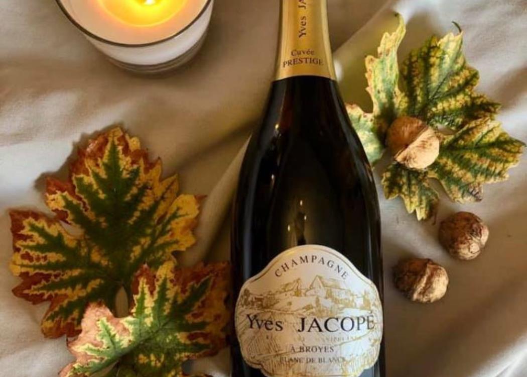 Automne Champagne Yves JACOPE