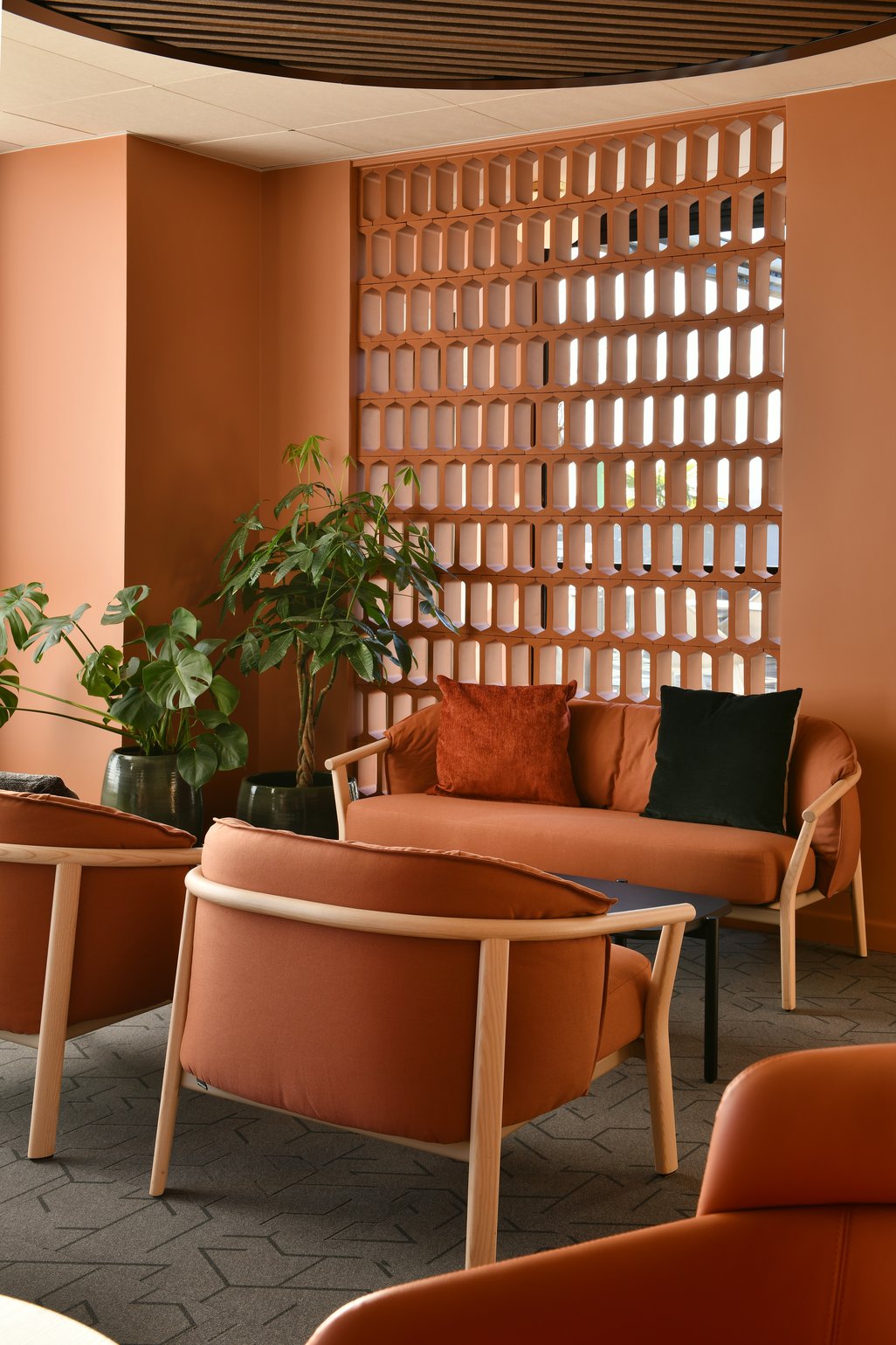 BAR-MUR-ALVEOLE-2 (1)