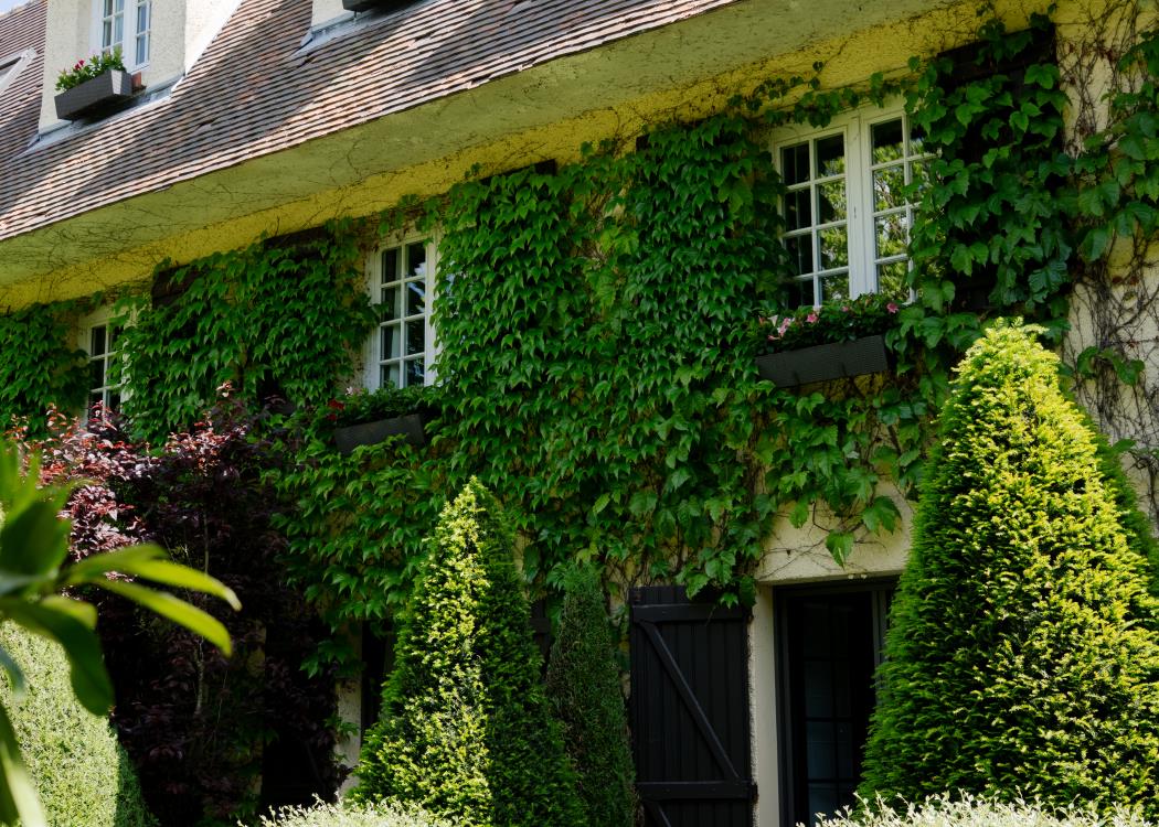 BV-SS25-02585 BV-SS25-02585