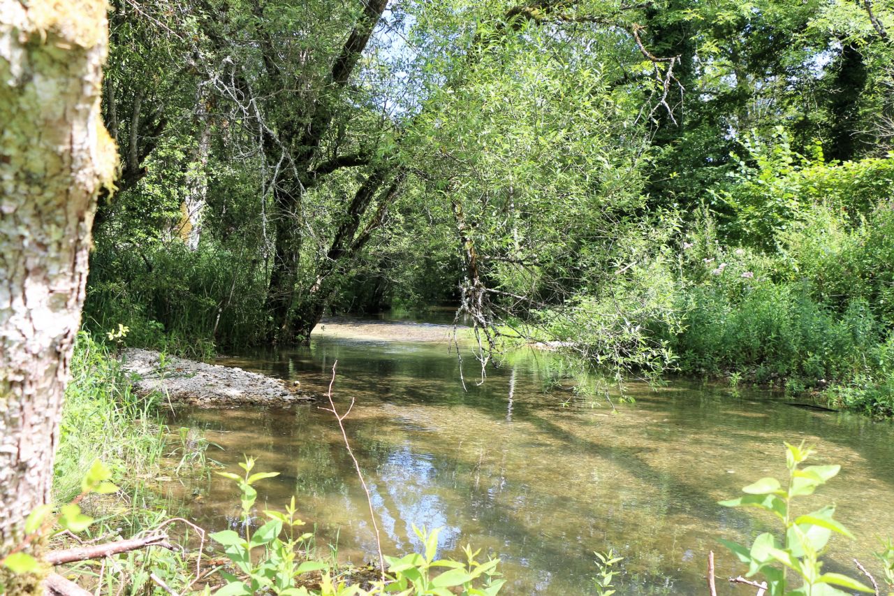 Camping L'Orchidée Home