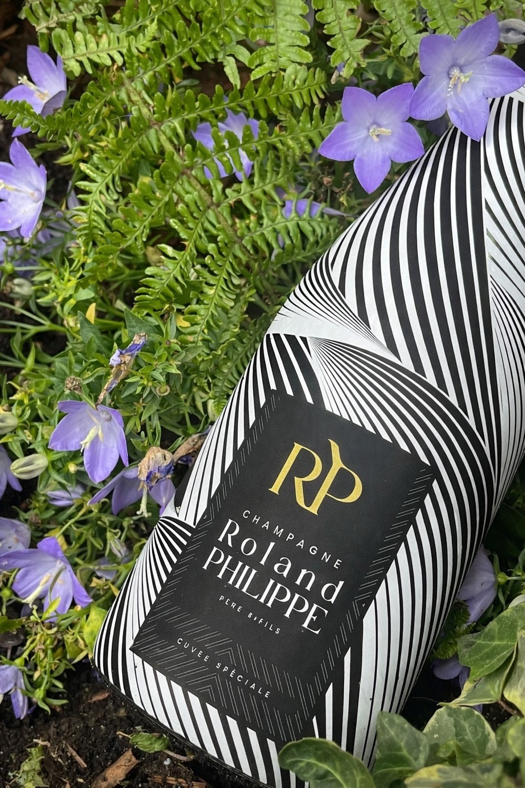 CHAMPAGNE ROLAND PHILIPPE 4