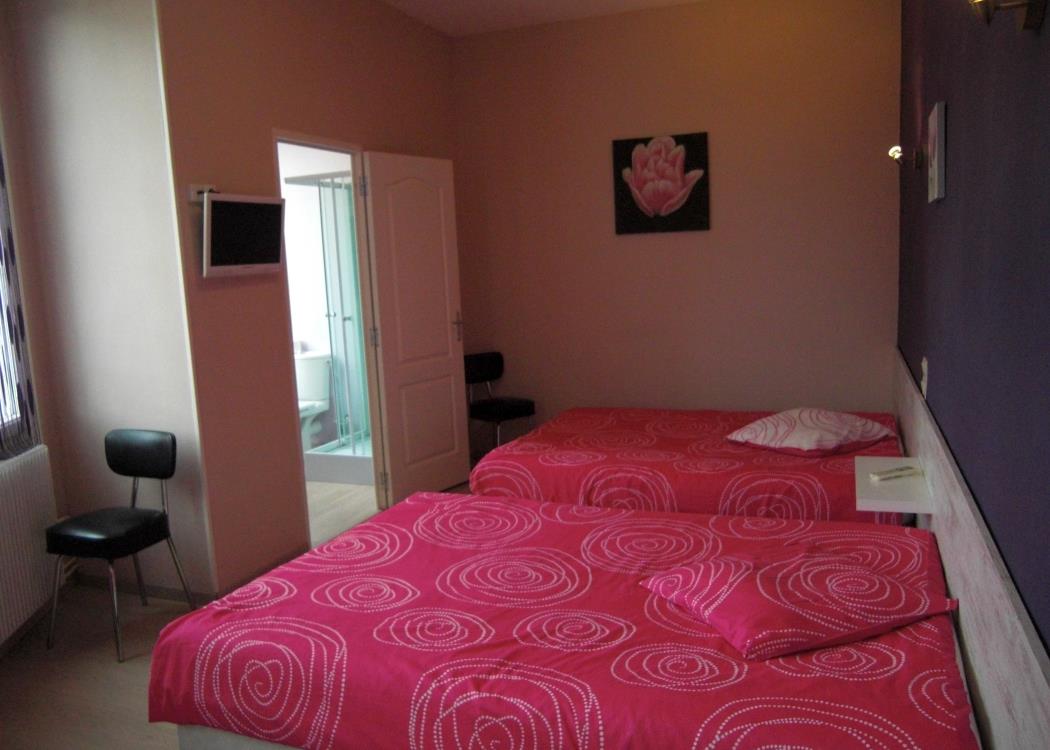 Hôtel-Restaurant Le Colbert - Epernay