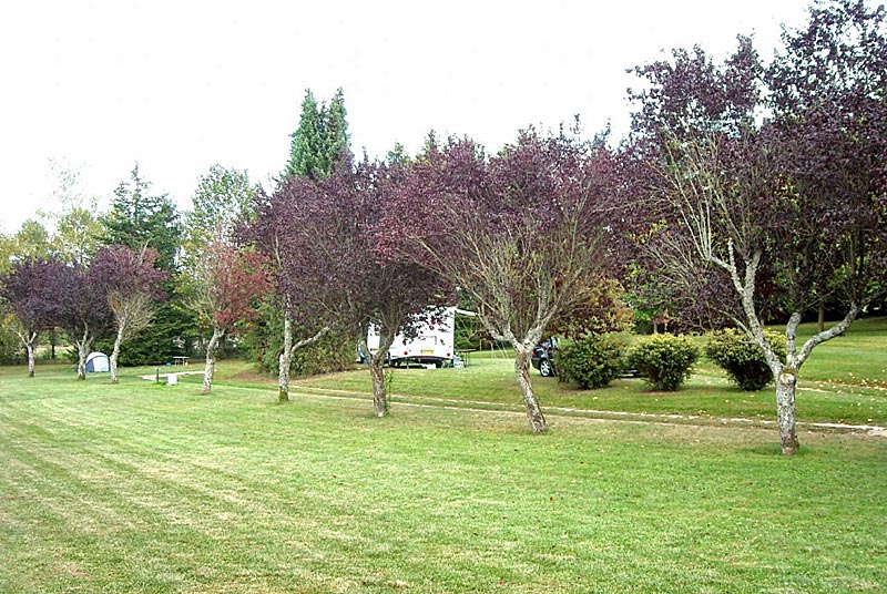Camping de mon village d'Auberive