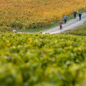 Fascinant Week-end V&D : Promenade à vélo chez le Champagne Pascal Machet