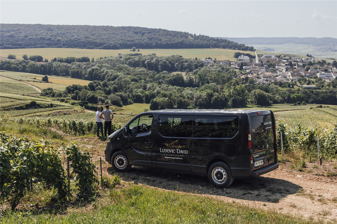 Visite du vignoble en van