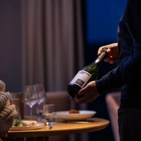 AYALA Tasting  en Champagne