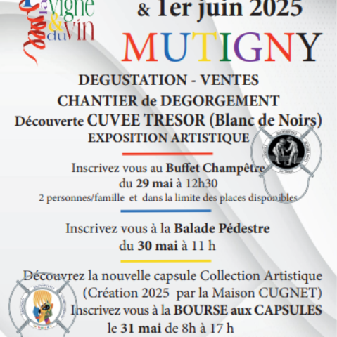 Flyer 2025