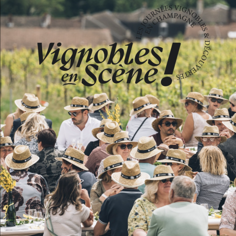Vignobles en Scène en Champagne