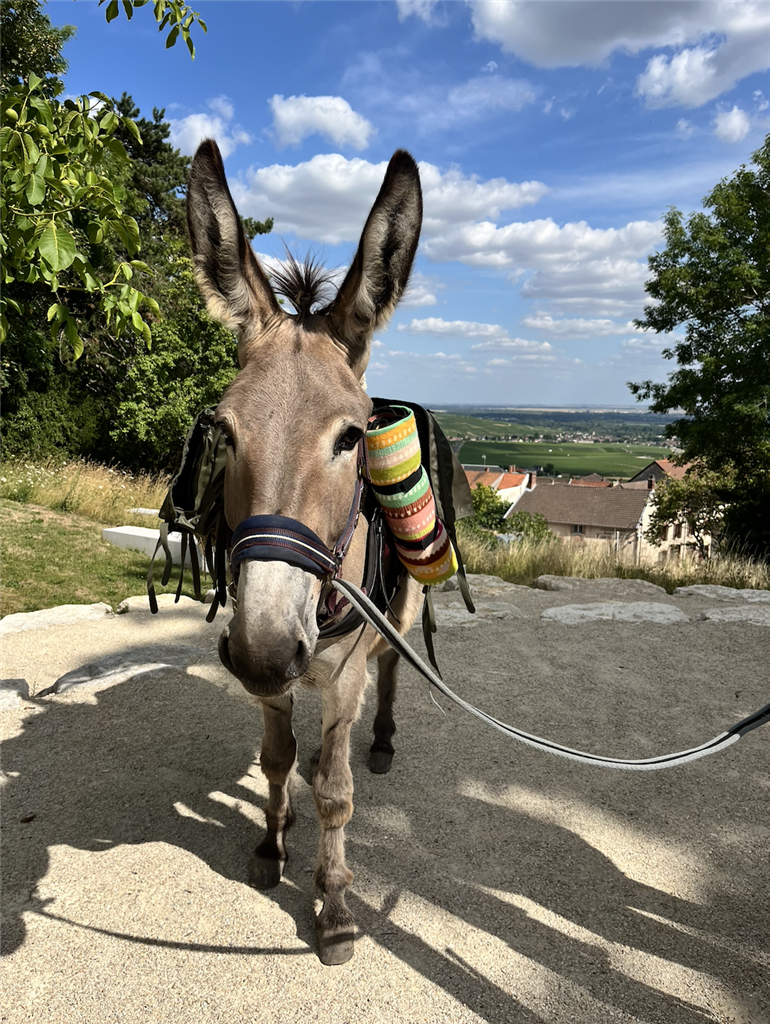 Capture d’écran 2025-07-20 à 23.40.35