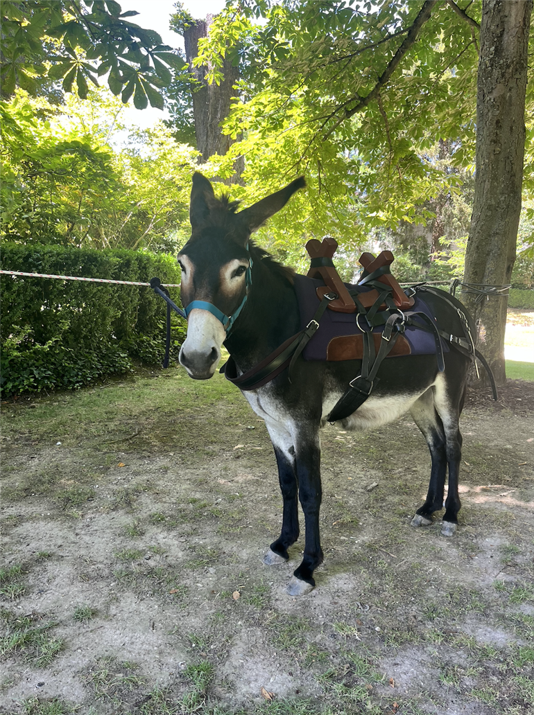 Capture d’écran 2025-07-20 à 23.41.56