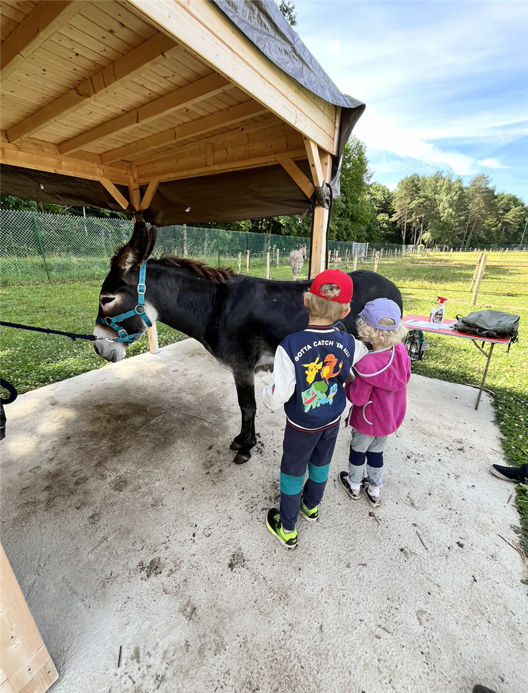 Capture d’écran 2025-07-20 à 23.42.43