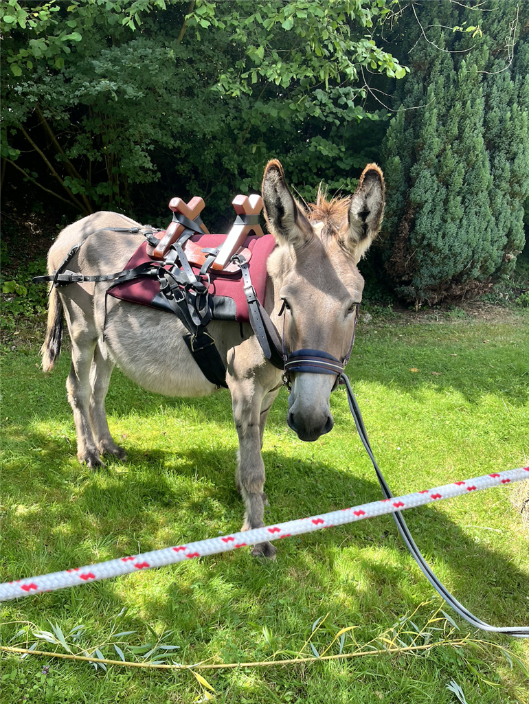 Capture d’écran 2025-07-20 à 23.48.04