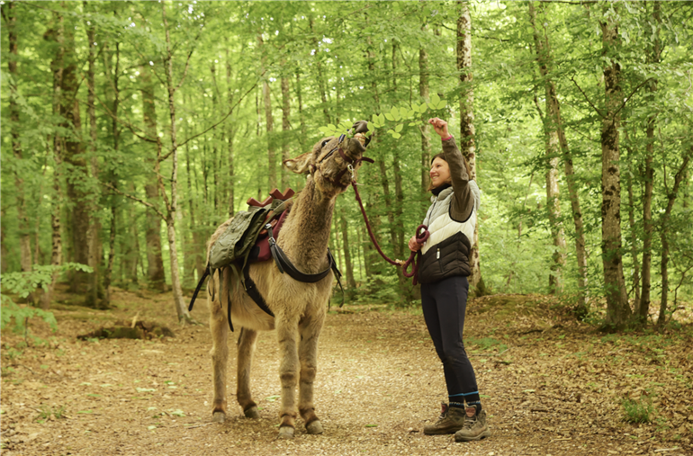 Capture d’écran 2025-07-21 à 00.07.51