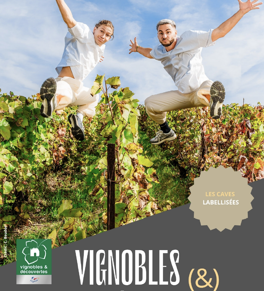 Caves Vignobles & Découvertes