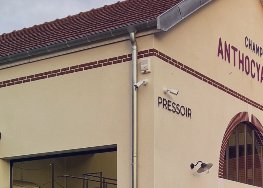 Champagne Anthocyane - Domaine des 3 sources Champagne Anthocyane - Domaine des 3 sources