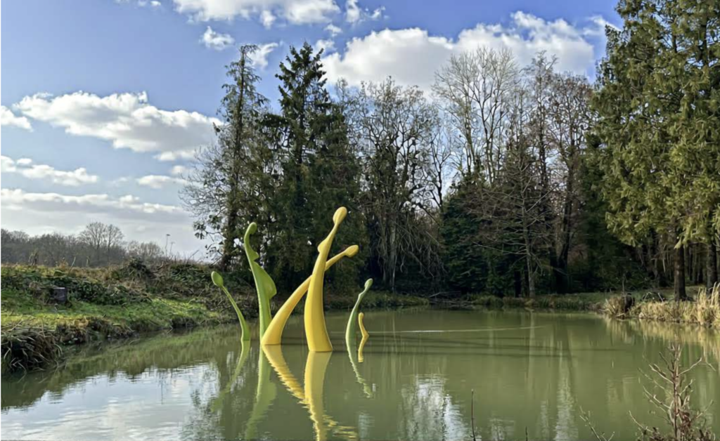 Nymphe & Eau, ode à la Florescence