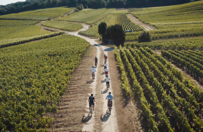 Captures 4K.00_00_03_15.Still003