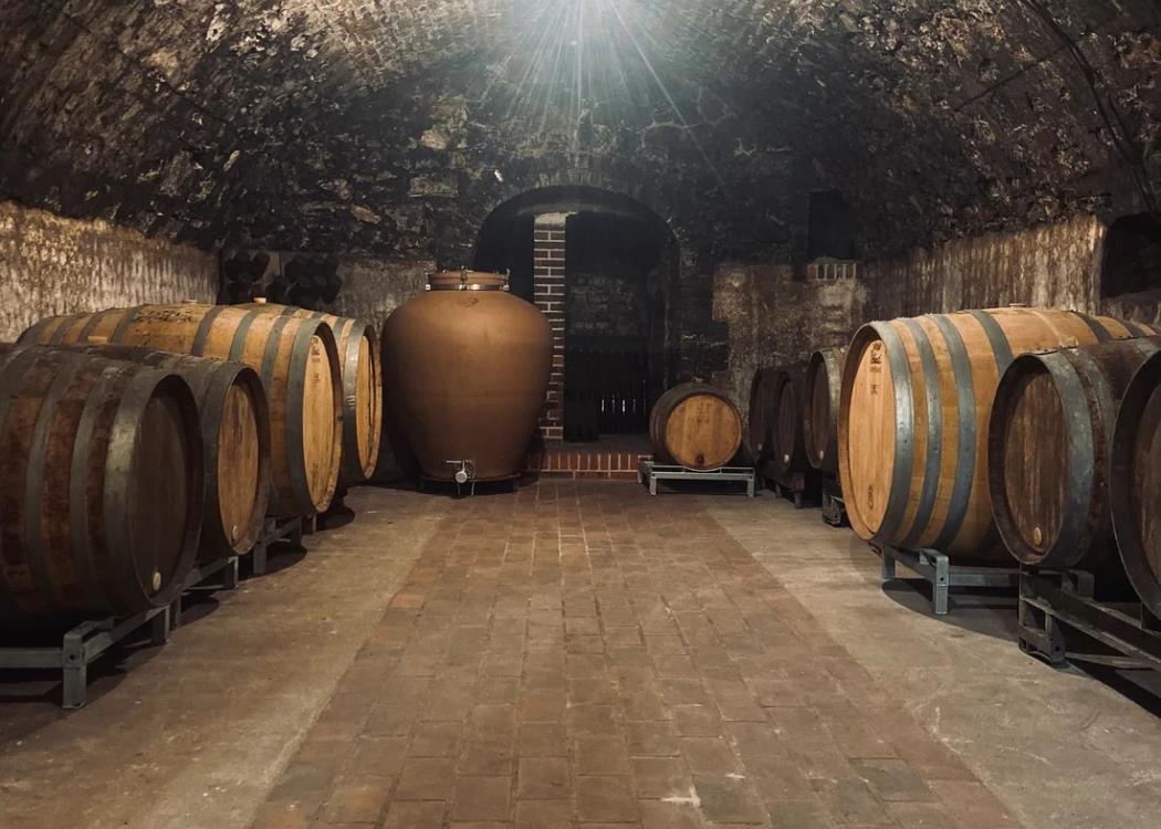 Cave Champagne Vincent Bliard©Champagne Vincent Bliard
