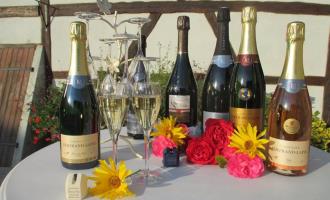 Champagne Bertrand Lapie présentation des vins