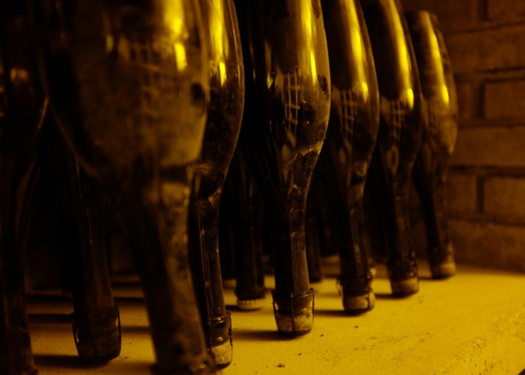 Champagne Doyard - Vertus©Champagne Doyard (4)