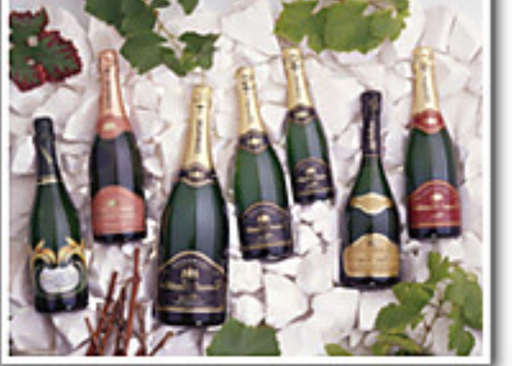 Champagne Feneuil Pointillart - Chamery