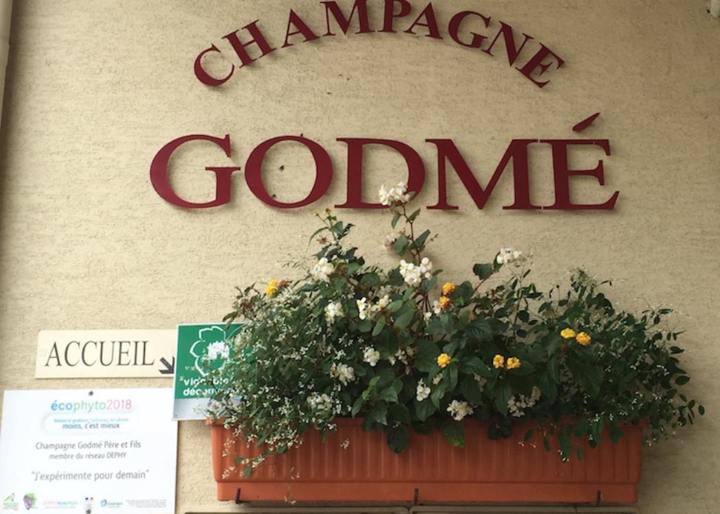 Champagne Hugues Godme - Verzenay