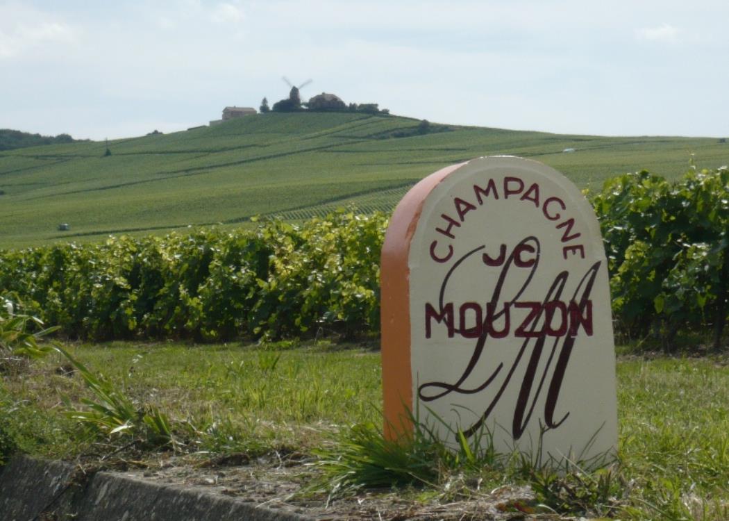 Champagne Jean-Claude Mouzon - Verzenay