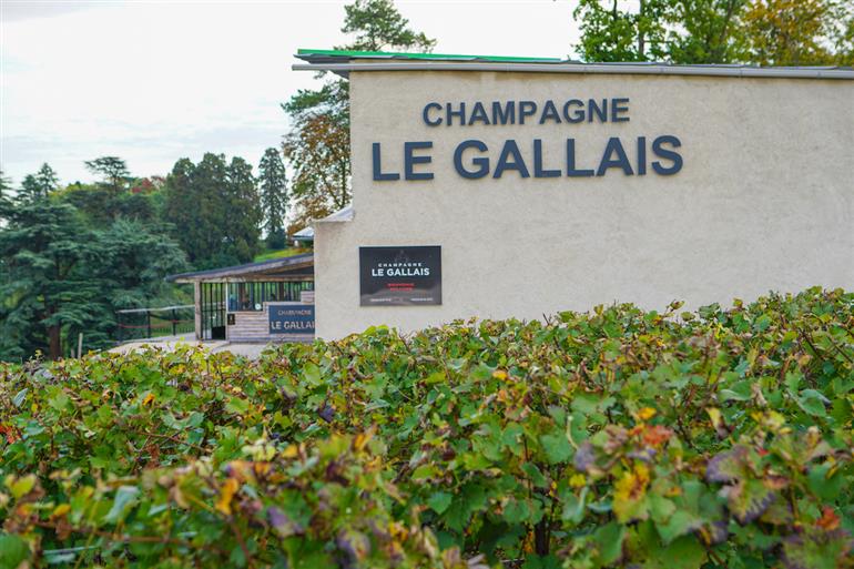 Champagne Le Gallais - Boursault