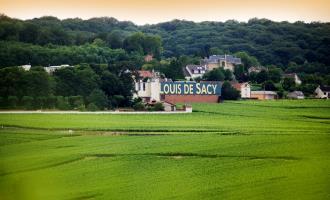 Champagne Louis De Sacy - Verzy