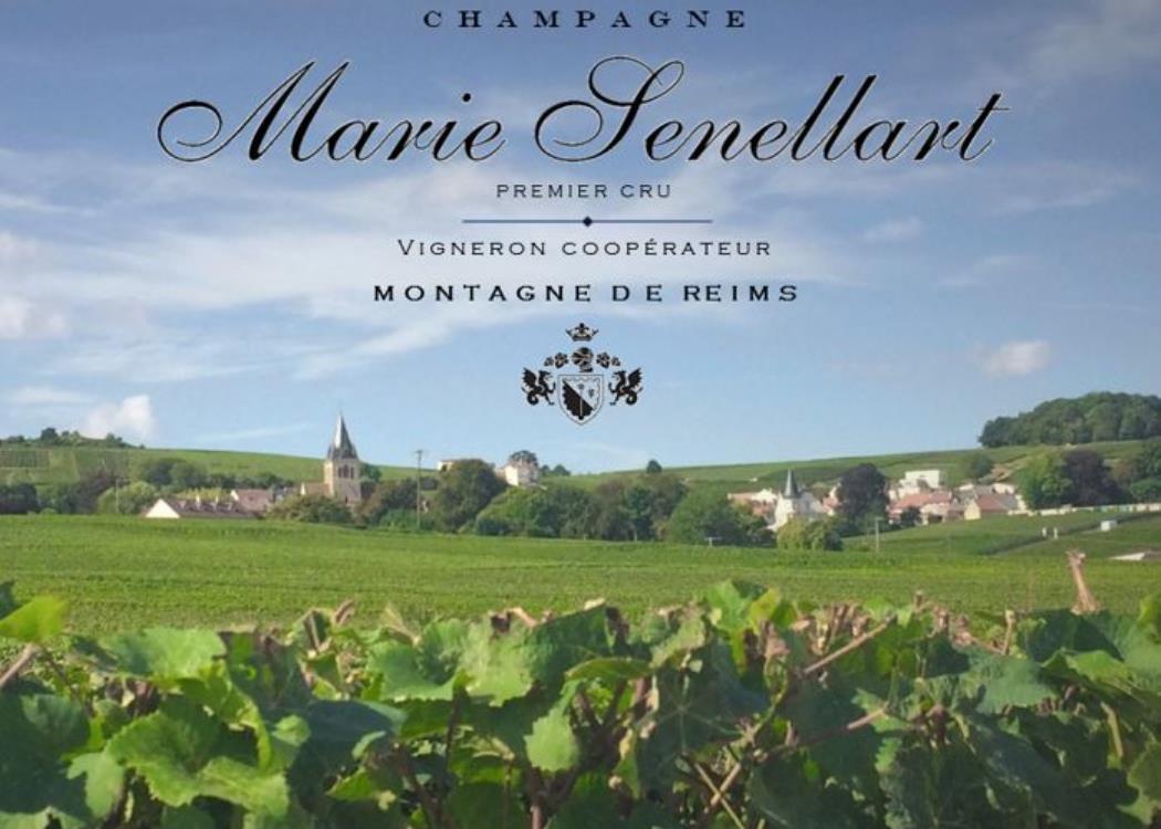 Champagne Marie Senellart : Expression d'un terroir.