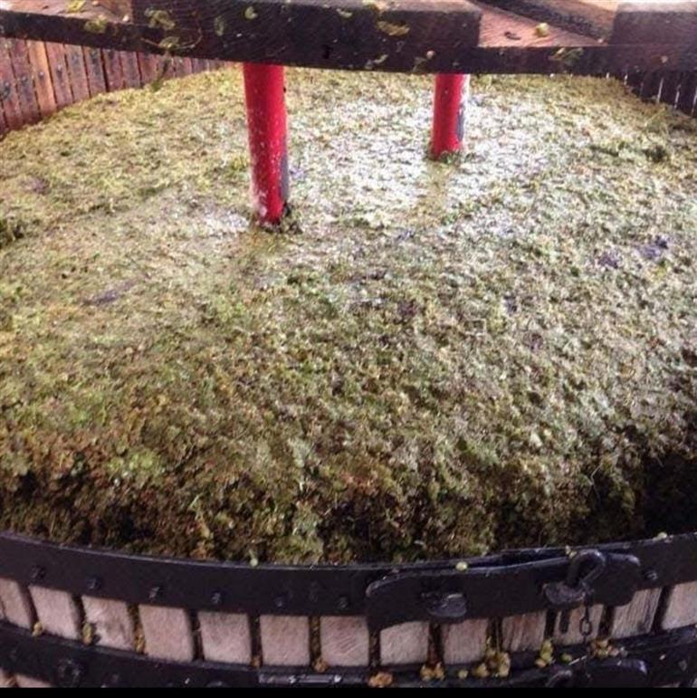 Champagne Thierry Bourmault Cuis - pressoir 2