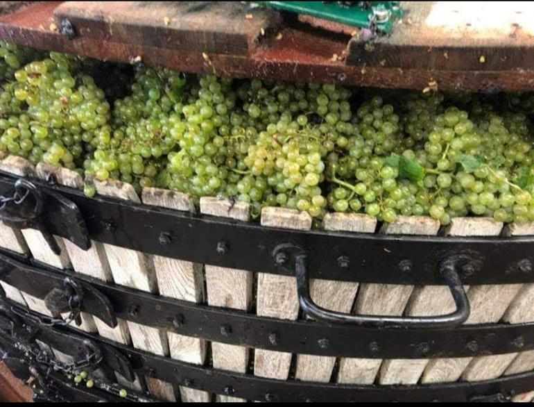 Champagne Thierry Bourmault Cuis - pressoir