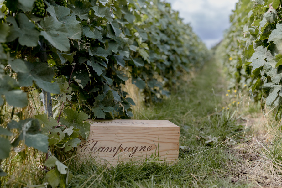 Une pause en Champagne