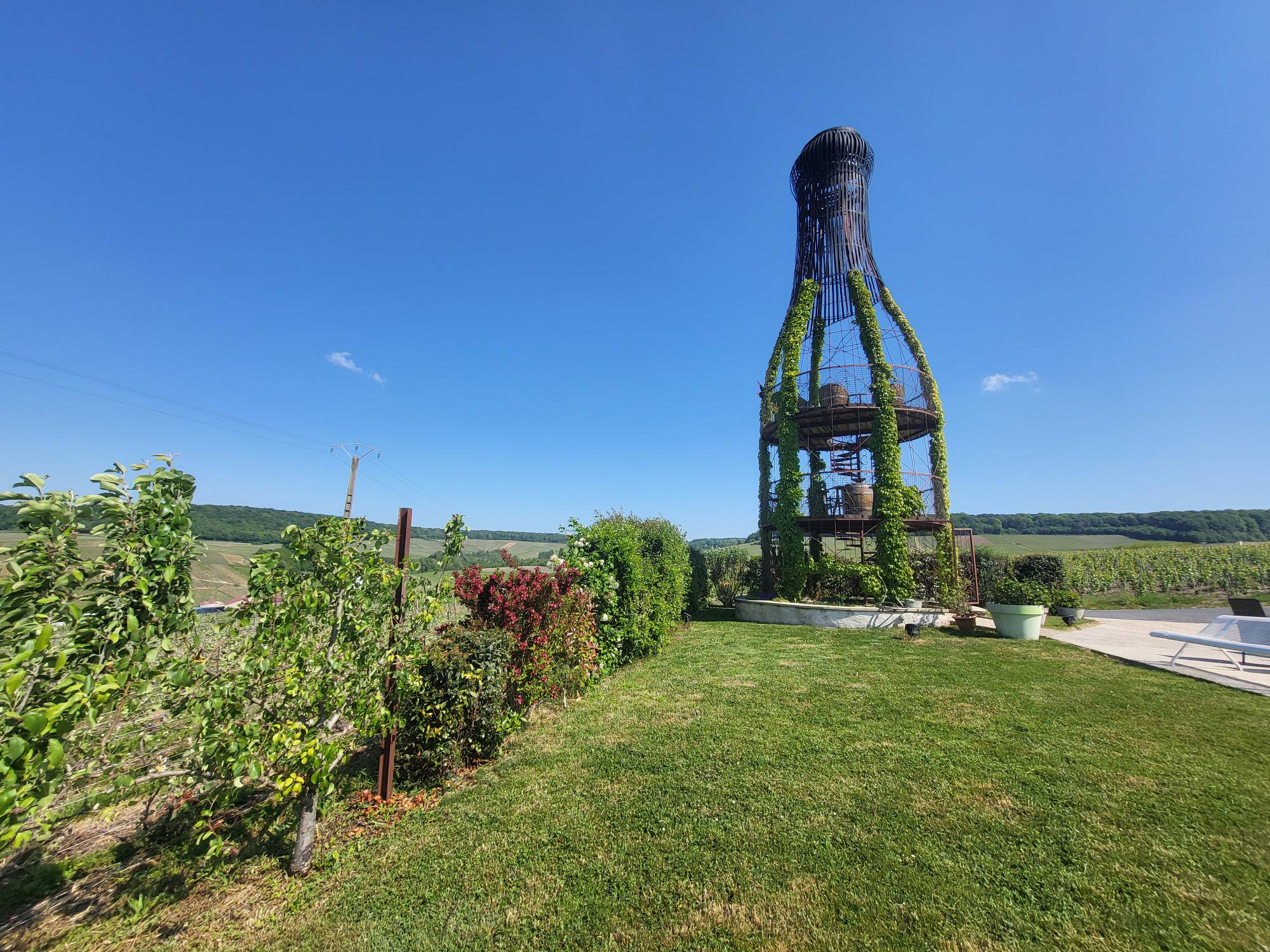 Champagne Yohann Michaux (6) - Champagne Yohann Michaux