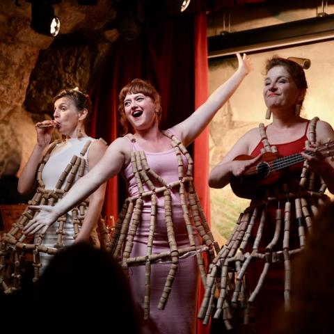 Vignobles en Scène: The Vedi Vini Bibi Show