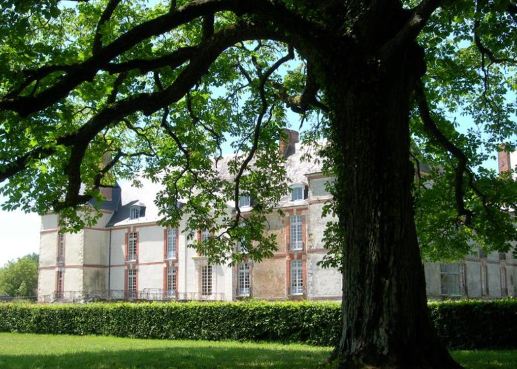 Château - Réveill