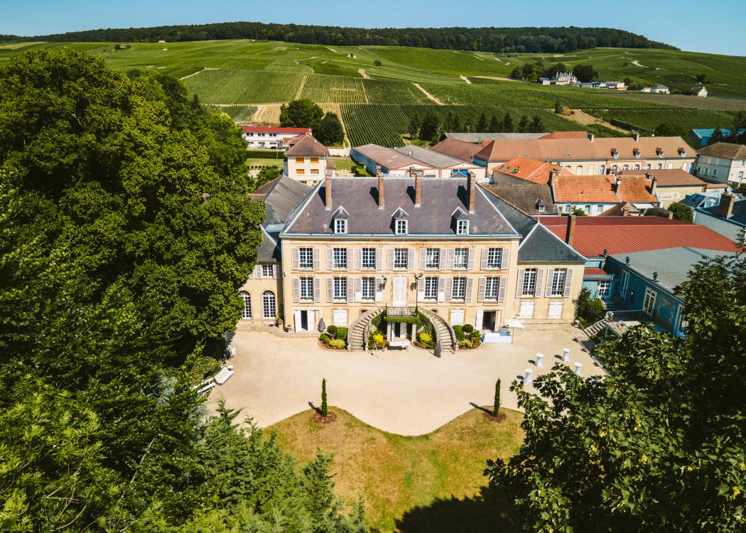 Chateau de Pierry-2 copie