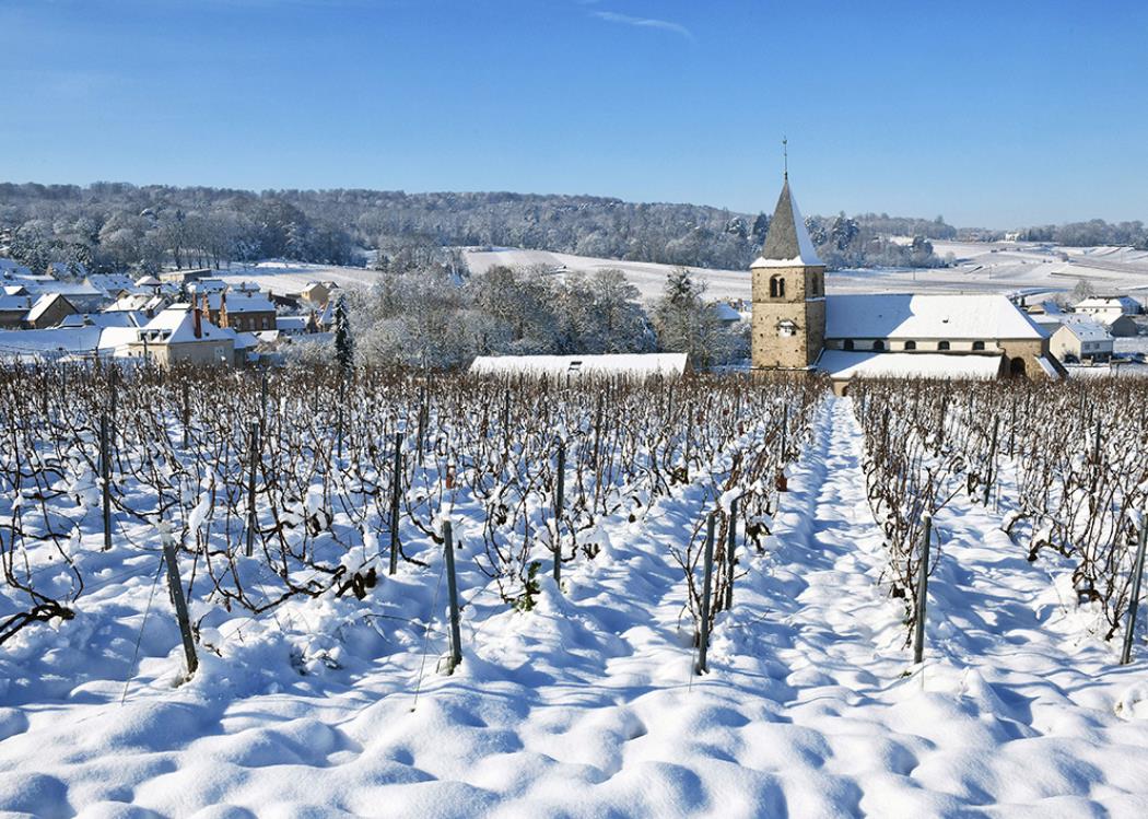 Chigny-les-Roses © Michel Jolyot Chigny-les-Roses © Michel Jolyot