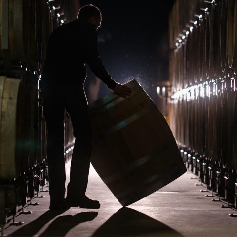 Chp Alfred Gratien x Tonnellerie de Champagne HDL 2025 - 2