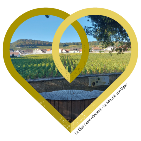 Coeur EMA - Clos Saint-Vincent (5) - Photo Alexandre CANIVET - © Village Le Mesnil sur Oger Coeur EMA - Clos Saint-Vincent (5) - Photo Alexandre CANIVET - © Village Le Mesnil sur Oger