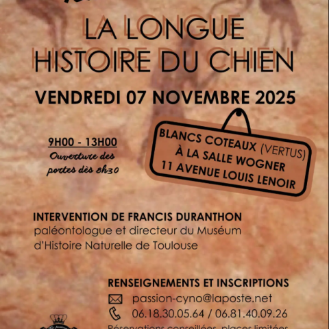 Conférence chien Vertus