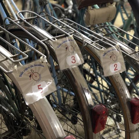 Vélo de location