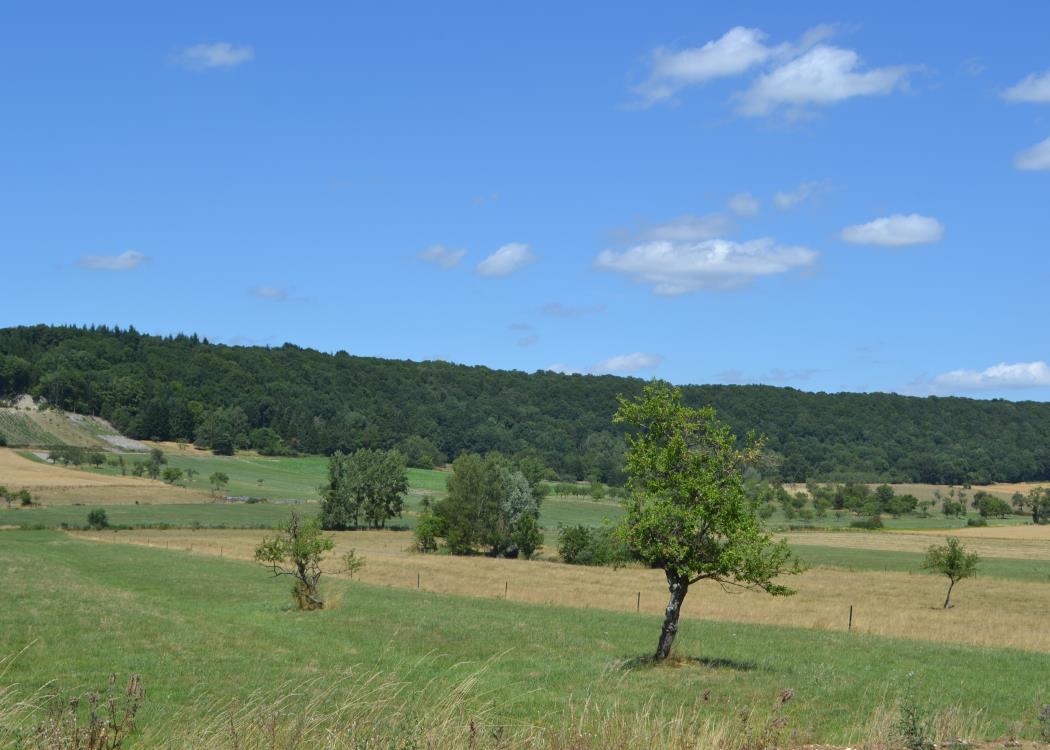 Exposition photos Exposition photos