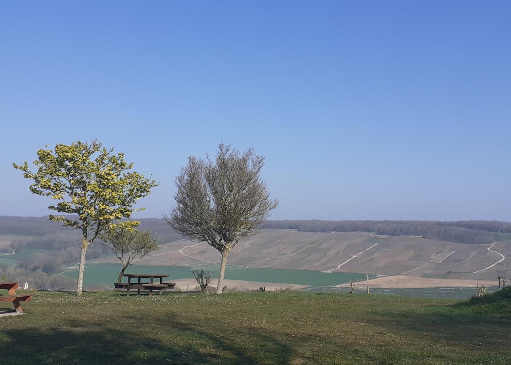 La Croix du Balai - Point de vue de Cuchery