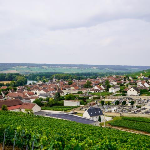 JEP 2025 Cumières