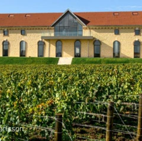 Cuverie Barons de Rotschild Vertus JEP 2026