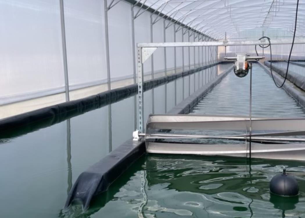 la ferme des MP la ferme des MP